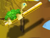 Feifei tartaruga verde