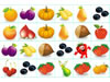 과일과 야채 매칭