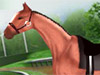 Horse Racing Fantasy