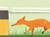 Sly Fox