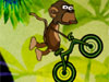 狂った猿のバイク
