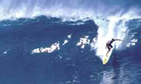 Władca morza surfingu