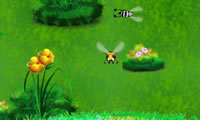 Polline raccolta ape regina
