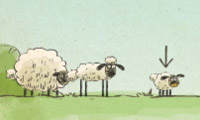 Nhà cừu nhà