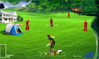 Fantacy Cricket