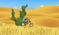 Woestijn fiets