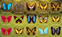 Farfalla collegare