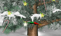 Giống chim ưng của Giáng sinh