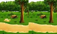 Summer in the country 5 Differences
