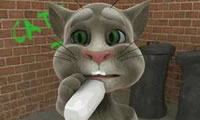 Nói chuyện Tom Cat