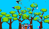 Duck Hunt
