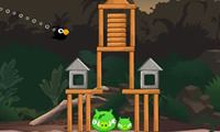 Cute Birds Forest