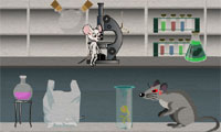 Laboratorium Mouse melarikan diri