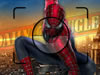 Spiderman Photohunt