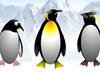 Pinguine schlich-Startseite