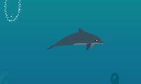 Schattig dolfijn Toon