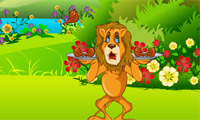 Lion honger