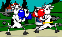 奶牛拳击