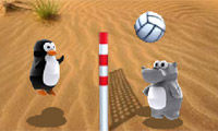 Zoo Volley