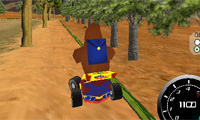 3D Winnie karting