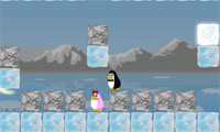 Pingouin solitaire