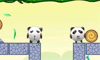 Salvataggio Panda